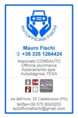 grafica-autofficinafishi_visitcar1